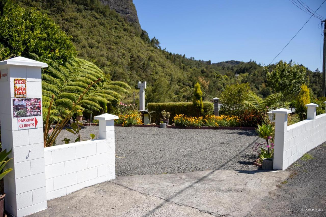Les Begonias Villa Cilaos Exterior photo