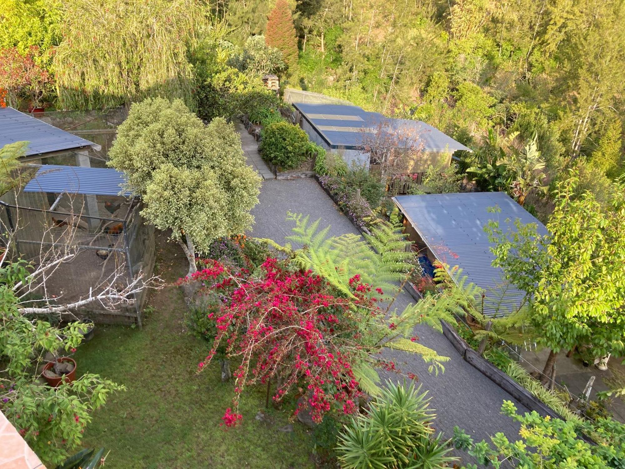 Les Begonias Villa Cilaos Exterior photo